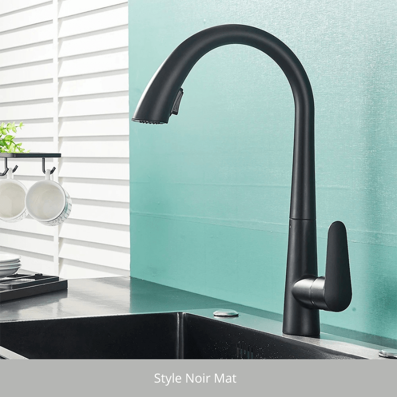 Black Kitchen Faucet Two Function Single Handle Pull Out Mixer Hot and Cold Water Taps Deck Mounted 360 Rotation Mixer Tap Style Noir Mat