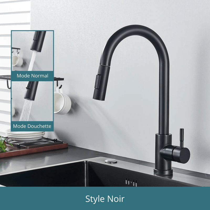 Free Shipping Black Kitchen Faucet Two Function Single Handle Pull Out Mixer Hot and Cold Water Taps Deck Mounted Style Noir / Acier Inoxydable