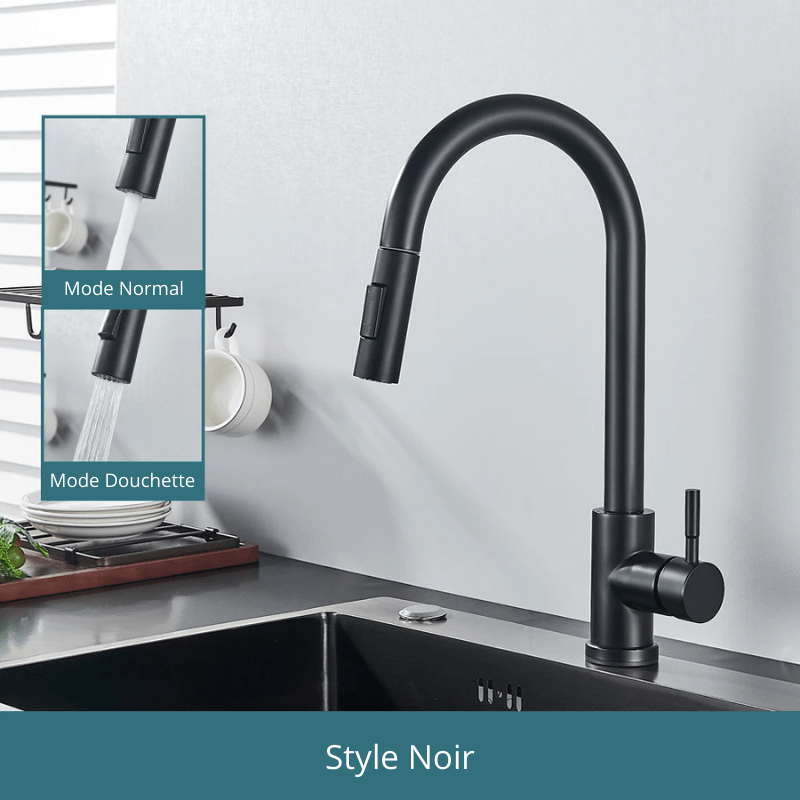 Free Shipping Black Kitchen Faucet Two Function Single Handle Pull Out Mixer  Hot and Cold Water Taps Deck Mounted Style Noir / Acier Inoxydable