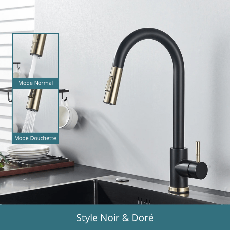 Free Shipping Black Kitchen Faucet Two Function Single Handle Pull Out Mixer Hot and Cold Water Taps Deck Mounted Style Noir & Doré / Acier Inoxydable