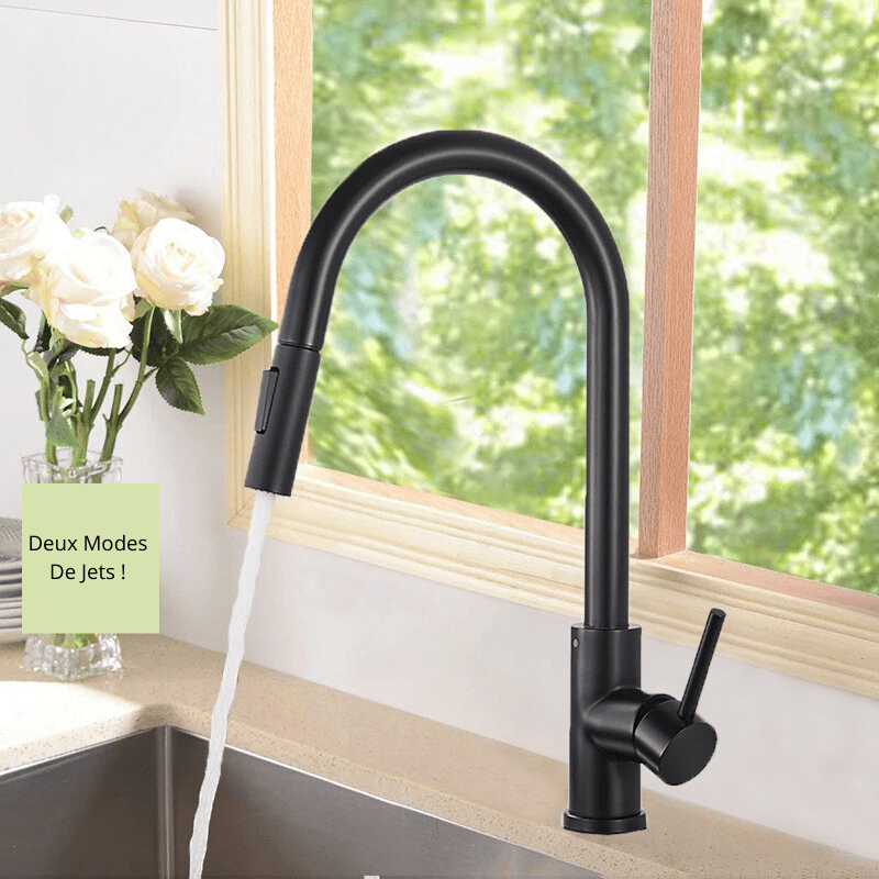 Robinet cuisine Inox, tête extensible, double jets !