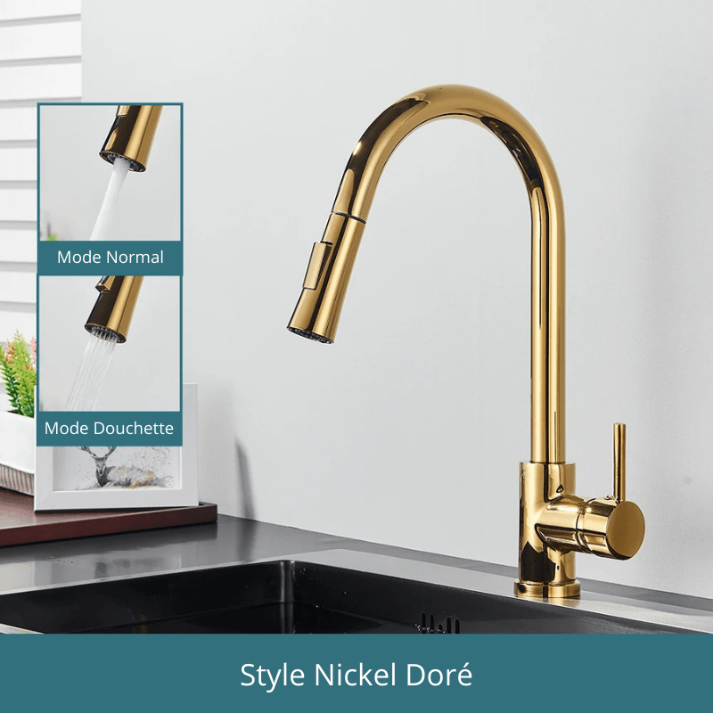 Free Shipping Black Kitchen Faucet Two Function Single Handle Pull Out Mixer Hot and Cold Water Taps Deck Mounted Style Nickel Doré / Acier Inoxydable