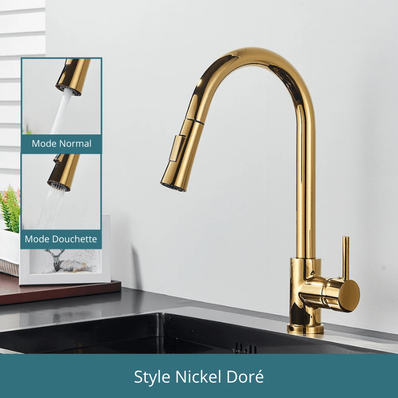 Free Shipping Black Kitchen Faucet Two Function Single Handle Pull Out Mixer  Hot and Cold Water Taps Deck Mounted Style Nickel Doré / Acier Inoxydable
